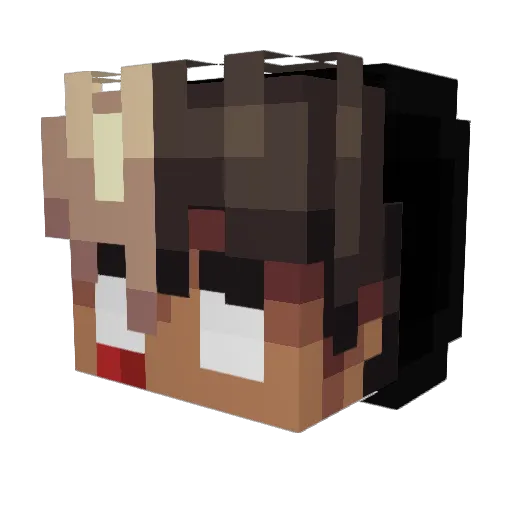 fsggwp Minecraft avatar head, 3D render