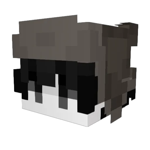 fsh420 Minecraft avatar head, 3D render