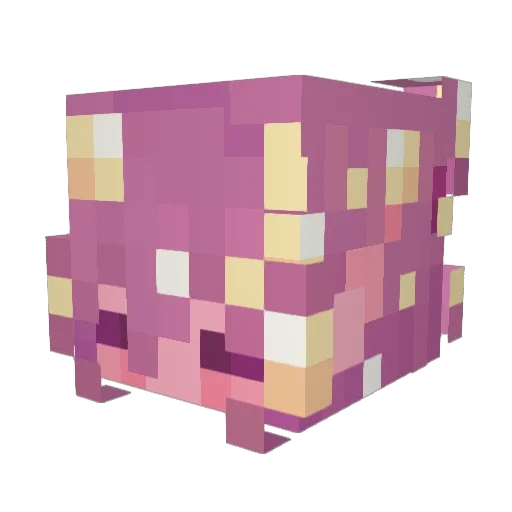 fsh_n_chips Minecraft avatar head, 3D render