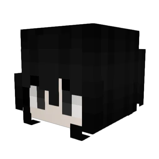 fshghgfs Minecraft avatar head, 3D render