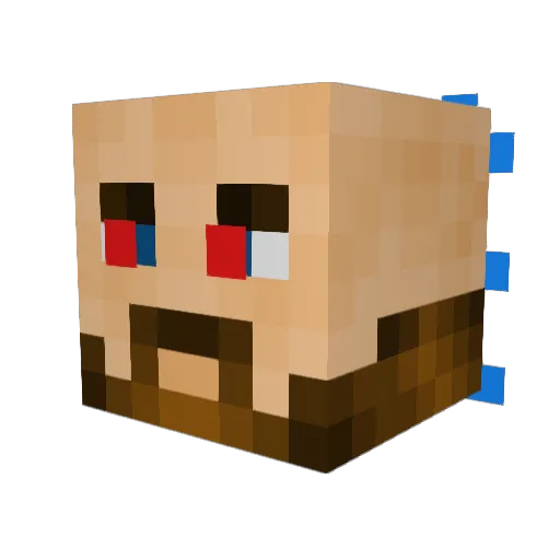 fsokrien Minecraft avatar head, 3D render