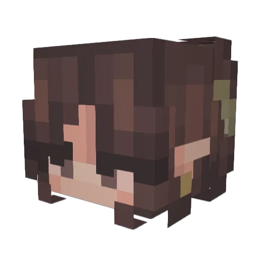 fspencer Minecraft avatar head, 3D render
