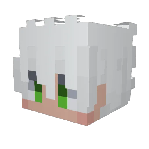 fss1810 Minecraft avatar head, 3D render