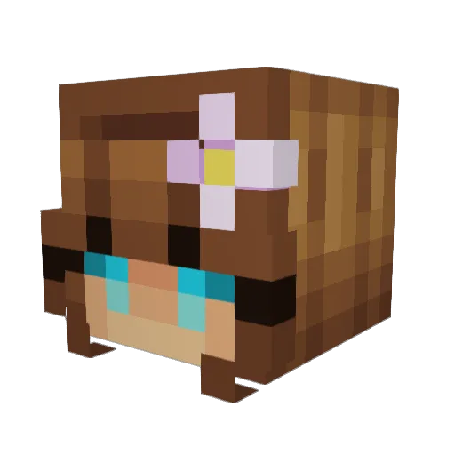 fstify Minecraft avatar head, 3D render
