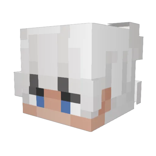fstr Minecraft avatar head, 3D render