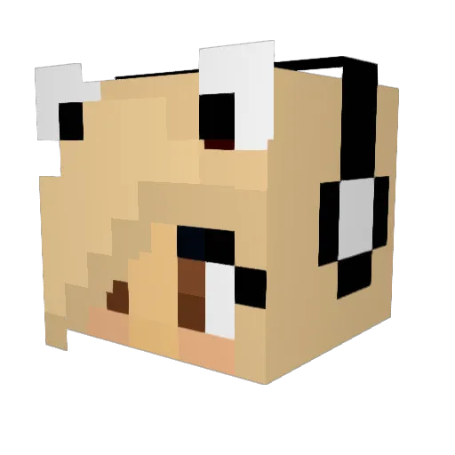 fsun262 Minecraft avatar head, 3D render