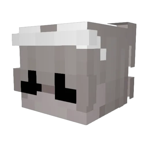 fswu Minecraft avatar head, 3D render