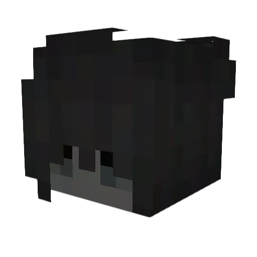 fsx1111 Minecraft avatar head, 3D render