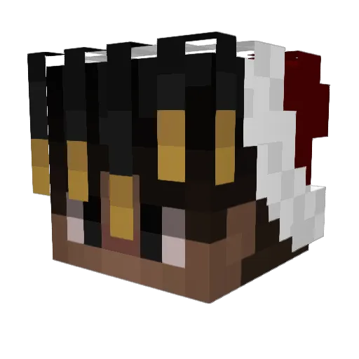 ft_nebs Minecraft avatar head, 3D render
