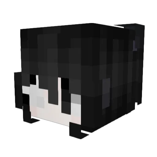 ftck Minecraft avatar head, 3D render