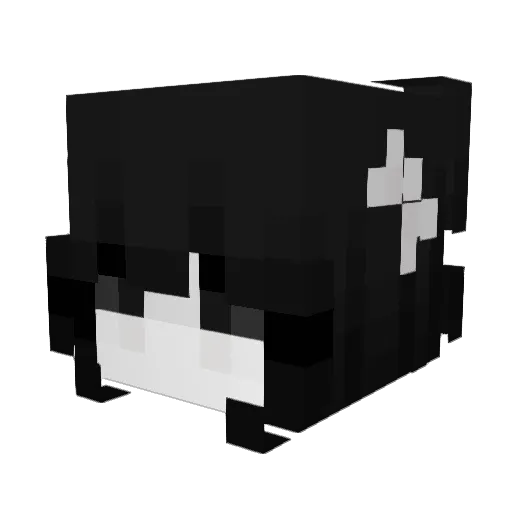 ftcy Minecraft avatar head, 3D render