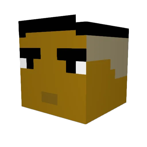ftgyehujaskwfrge Minecraft avatar head, 3D render