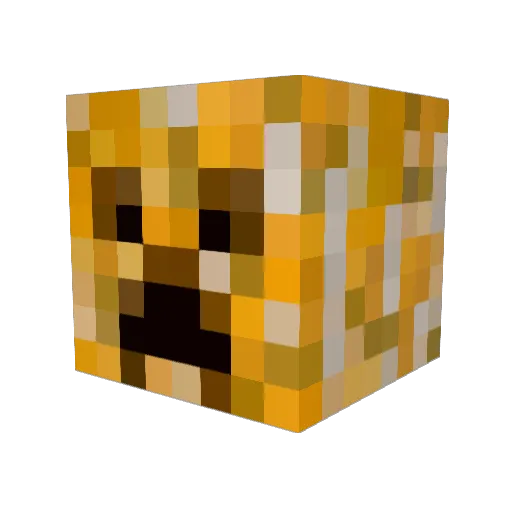 ftil Minecraft avatar head, 3D render
