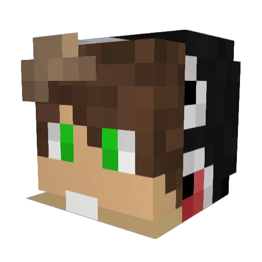 ftjy Minecraft avatar head, 3D render