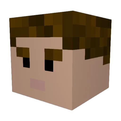 ftlpws Minecraft avatar head, 3D render