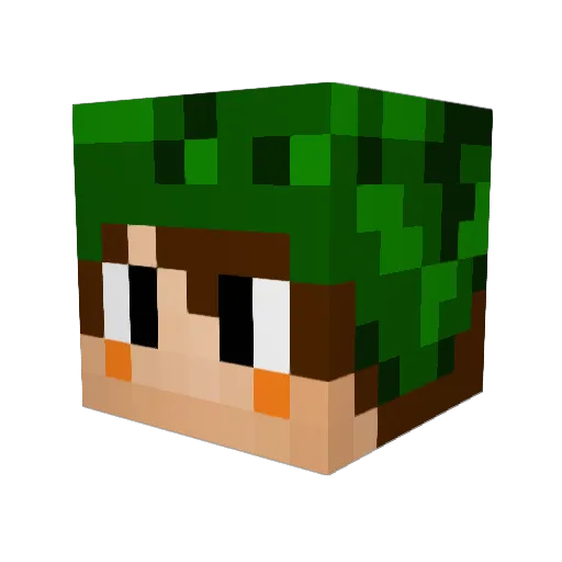 ftpuma Minecraft avatar head, 3D render