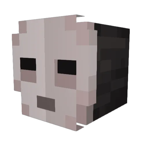ftwillzy Minecraft avatar head, 3D render