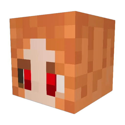 fuNNky_ Minecraft avatar head, 3D render
