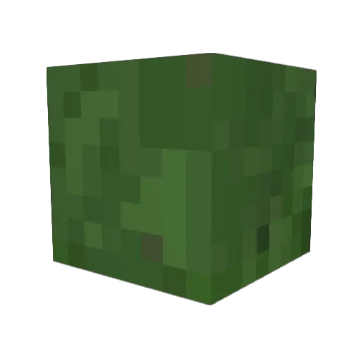 fu_mo207 Minecraft avatar head, 3D render