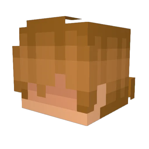 fucb Minecraft avatar head, 3D render