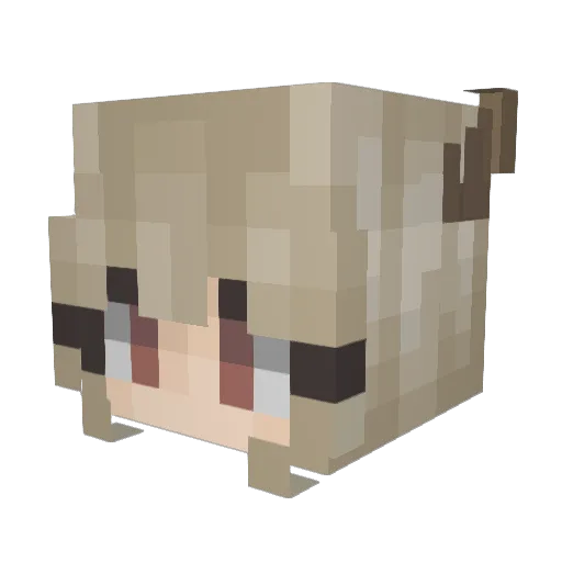 fudeng Minecraft avatar head, 3D render