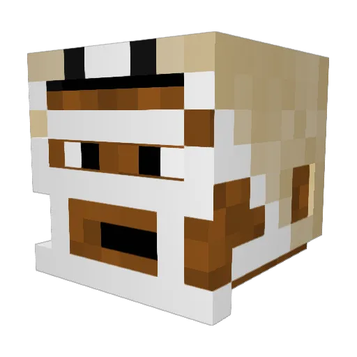 fudgeoman Minecraft avatar head, 3D render