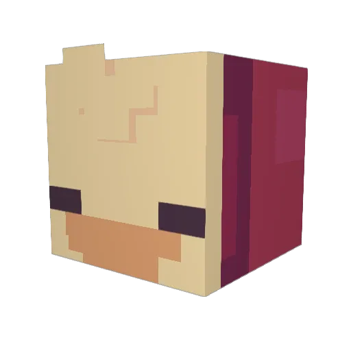 fudgiemuffin Minecraft avatar head, 3D render