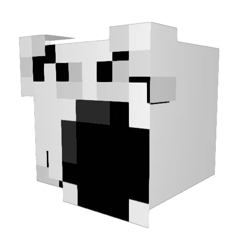 fuego_boi Minecraft avatar head, 3D render