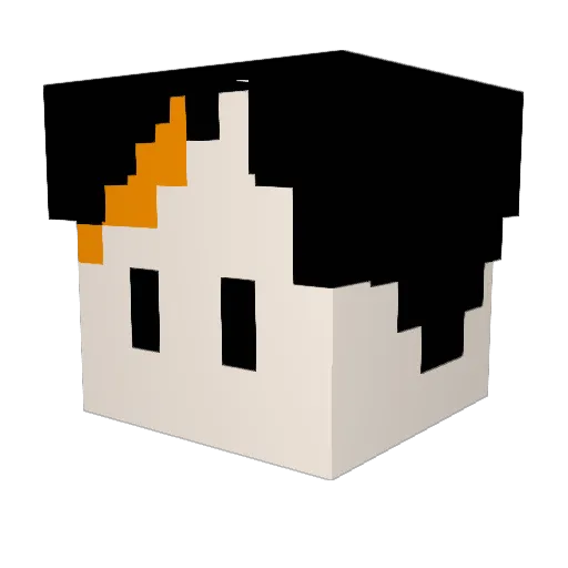 fuen_kmsb Minecraft avatar head, 3D render