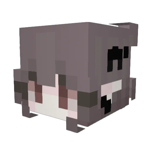 fuevee Minecraft avatar head, 3D render