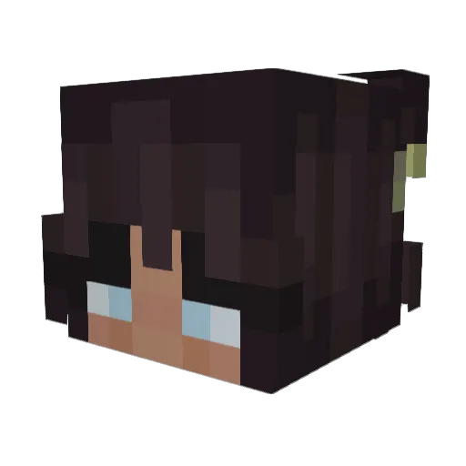 fufoojoe Minecraft avatar head, 3D render