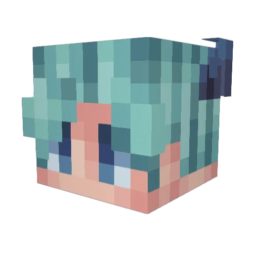 fuggy11 Minecraft avatar head, 3D render