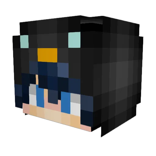 fugle13 Minecraft avatar head, 3D render