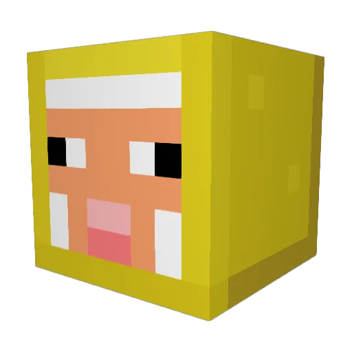 fuijland Minecraft avatar head, 3D render