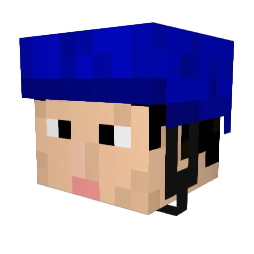 fuji22514 Minecraft avatar head, 3D render