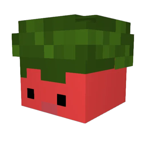 fujimet Minecraft avatar head, 3D render