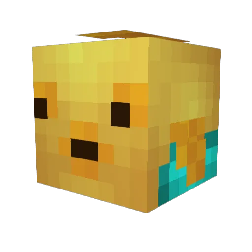 fujisam3 Minecraft avatar head, 3D render