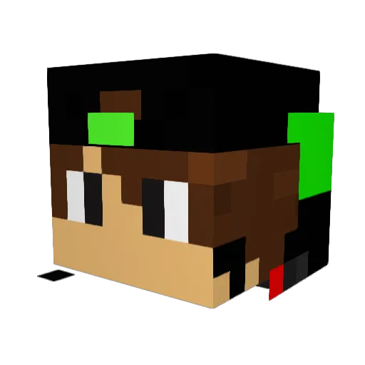 fujitahikaru Minecraft avatar head, 3D render