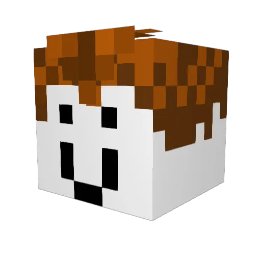 fukcyoumica Minecraft avatar head, 3D render