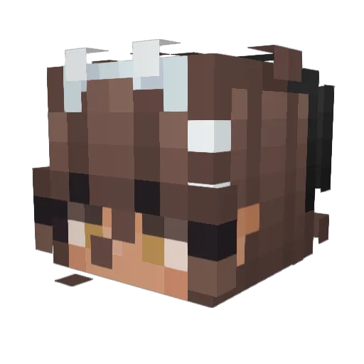 fulalawgshawg Minecraft avatar head, 3D render