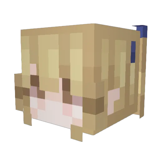 fuling23 Minecraft avatar head, 3D render