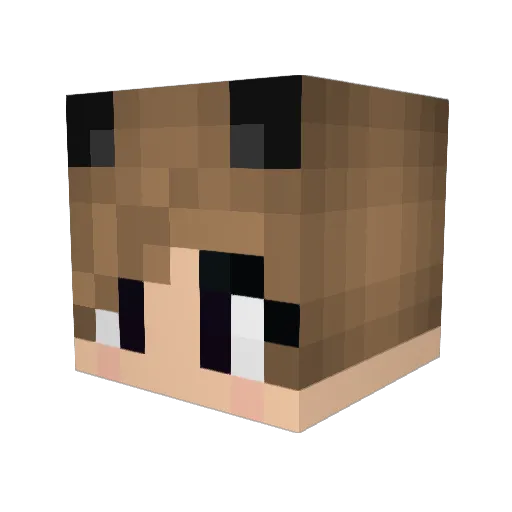 fullfungo Minecraft avatar head, 3D render