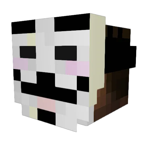 fullglace Minecraft avatar head, 3D render