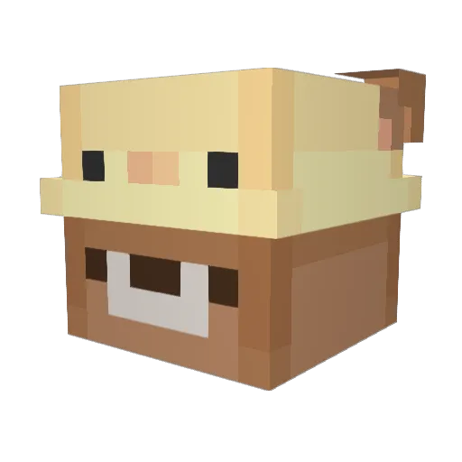 fullseon Minecraft avatar head, 3D render