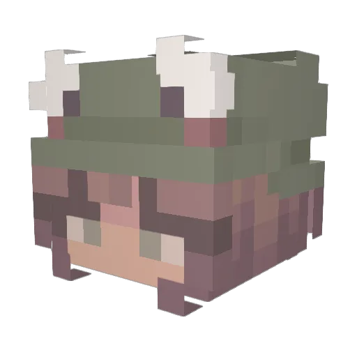 fullspeedfrog Minecraft avatar head, 3D render