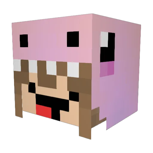 fully_girl Minecraft avatar head, 3D render