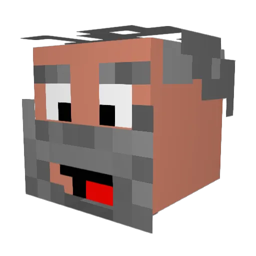 fulunge Minecraft avatar head, 3D render