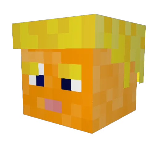 fumbelbee Minecraft avatar head, 3D render