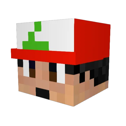 fumecat Minecraft avatar head, 3D render