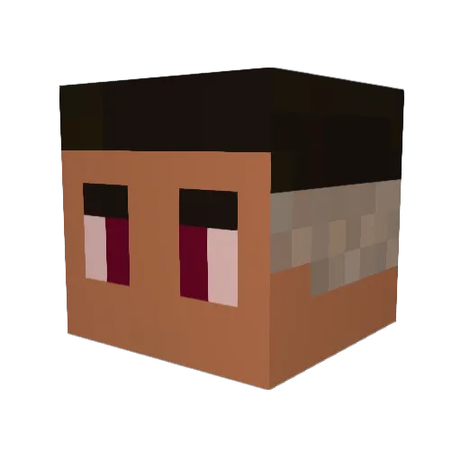 fummacinha_ Minecraft avatar head, 3D render